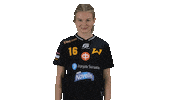 Floorball Salibandy Sticker by F-liiga