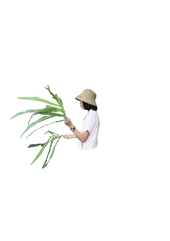 Dance Dancing Sticker