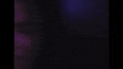 Sunglasses Shades GIF by Paul Russell