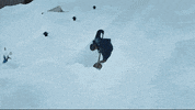 peroninastroazzurro beer snow winter thank you GIF