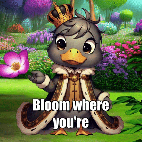 Wisdom GIF by sirduckbeth