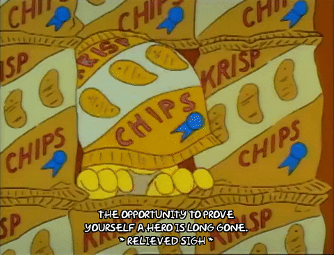 Season 1 GIF by The Simpsons