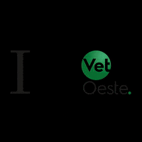 VetOeste love amor pet gato GIF