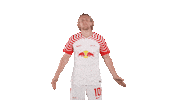 Oh Yeah Wow Sticker by RB Leipzig