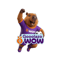 Wowfut Sticker by WOW Perú