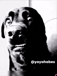 Sad Shocked GIF