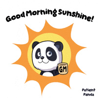 Good Morning Sun GIF by VeeFriends