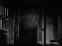 drive me bats bela lugosi GIF by Warner Archive