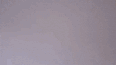 anamariagutierrez8c4f giphyupload GIF