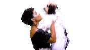 Little Dog Lol Sticker by Salon Line