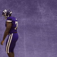Football Wesleyan GIF by KWC Panthers