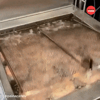 Donut GIF by BuzzFeed