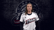 Florida Softball GIF by USSSA Pride