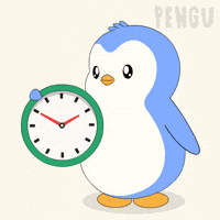 You Are Late Time Flies GIF by Pudgy Penguins