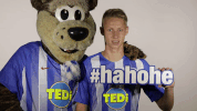 Hertha Berlin Sport GIF by Hertha BSC