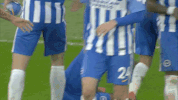 Soccer Futbol GIF by Brighton & Hove Albion Football Club