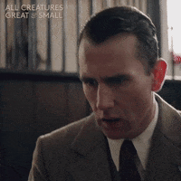 allcreaturestv animals horror shock yorkshire GIF