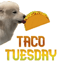 Taco Tuesday Sticker by waggingtailspr