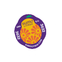 Food Orange Sticker by sumocitrus