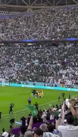 Saudi Arabia Fans Celebrate Winner vs Argentina