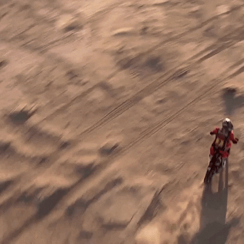 GIF by Red Bull