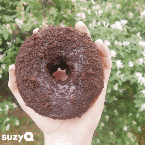 SuzyQdoughnuts giphygifmaker chocolate donut sugar GIF