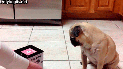 scared i want GIF