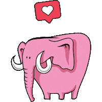 CreativeDreamsMx creative dreams dreamer pinkelephant Sticker