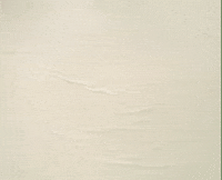 Fail William Wegman GIF by Jason Clarke