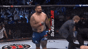 Mixed Martial Arts Dancing GIF by UFC