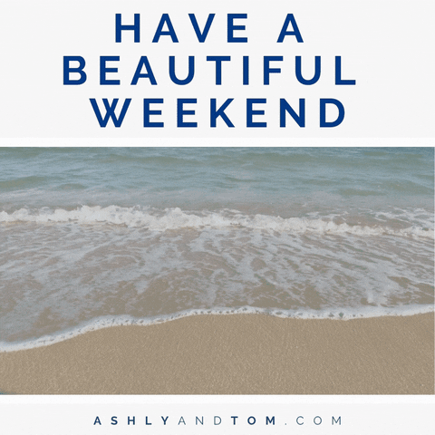 magpie5 giphyupload GIF