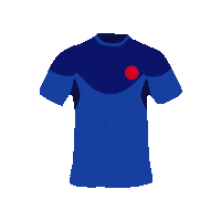 RuggetteRFC france rugby ruggetterfc fantasyrugby Sticker