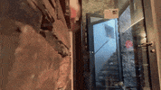 Tobidrglobi GIF by H2U