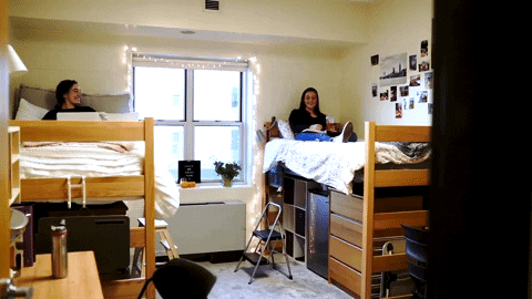 Roommates Move In GIF by James Madison University