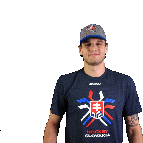 hockey slovakia Sticker by Pilsner Urquell
