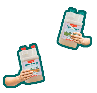CANNAItalia giphyupload plant fertilizer piante Sticker