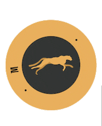 Team Running Sticker by mltrainingclub