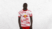 Come On No GIF by RB Leipzig