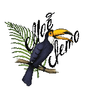 Joies_store summer toucan лето joies Sticker