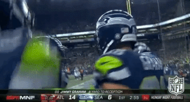 Seattle Seahawks Football GIF by NFL