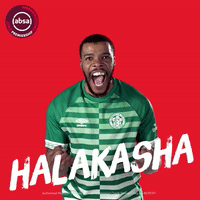 south african soccer GIF