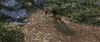 disney pixar film GIF