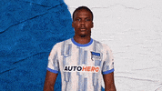 Bundesliga Berlin GIF by Hertha BSC