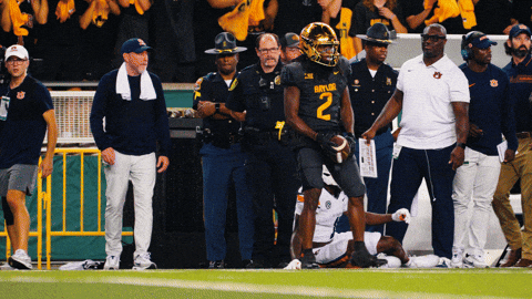 Baylor Bears Sic Em GIF by Baylor Athletics