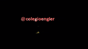 colegioengler bee bauru abelhinha engler GIF
