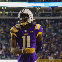 College Football GIF by LSU Tigers