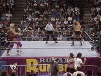Royal Rumble Wrestling GIF by WWE