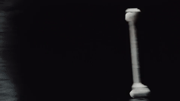 pie lns209 GIF by truTV's Late Night Snack