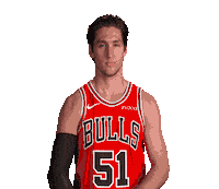 Ryan Arcidiacono Sticker by Chicago Bulls