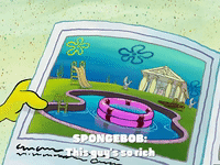 season 2 chocolate with nuts GIF by SpongeBob SquarePants